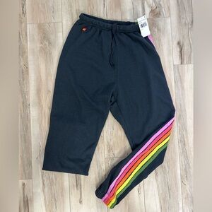 Aviator Nation NWT charcoal 5 stripe sweats Love them but to big. Trades welcome